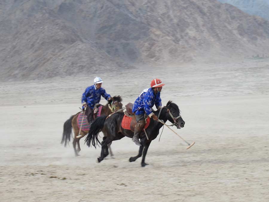 chamba camp polo