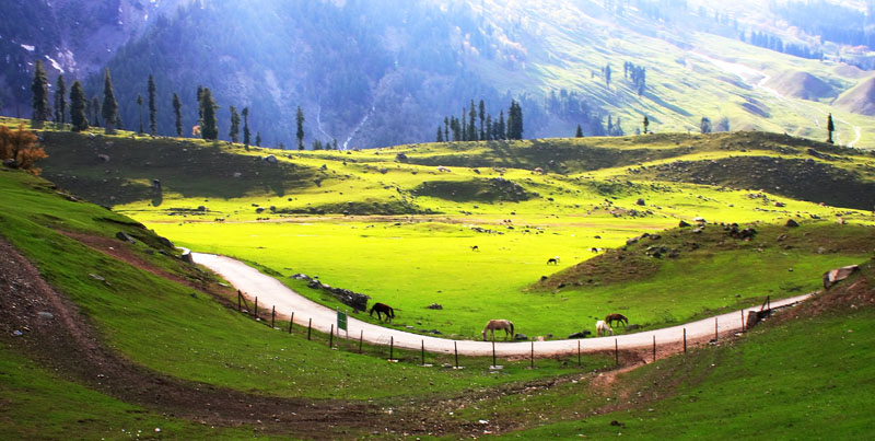 sonmarg kashmir