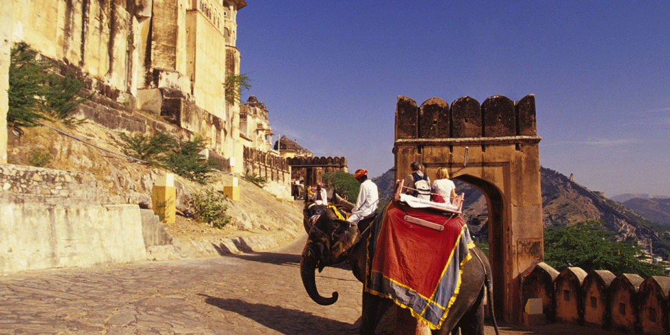Climbing-amber-fort-elephant-jaipur-1