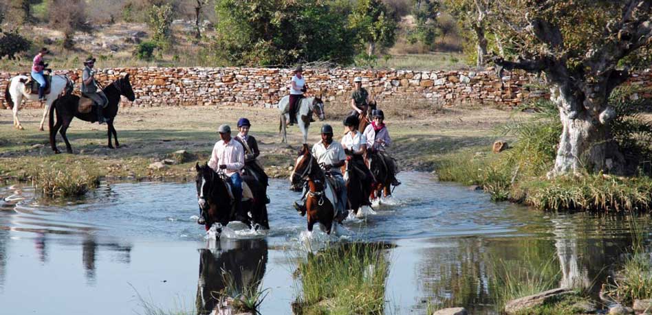 Rajasthan_Horse_safari