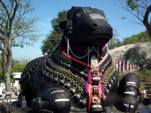 Chamundi Hill Bull