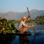 Dal Lake Srinagar