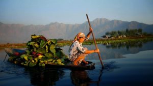 Dal Lake Srinagar