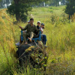 Kanha Elephant Safari