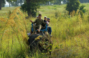 Kanha Elephant Safari