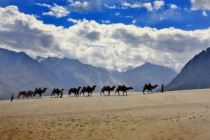 nubra valley leh