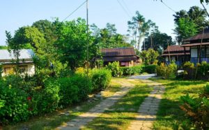 Mawllynnong-cleanest village in Asia meghalaya