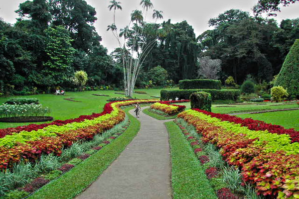 Hakgala Botanical garden Sri Lanka