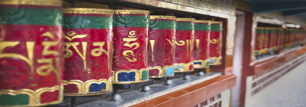 SpinningWheel_Dharamshala_India