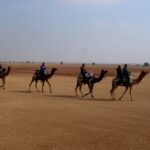 Explore India In Style: Unforgettable Journeys