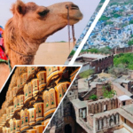 Explore India With Curated Journeys