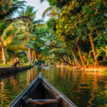 Kerala Backwaters Tour Package: Best Routes, Houseboats & Travel Tips