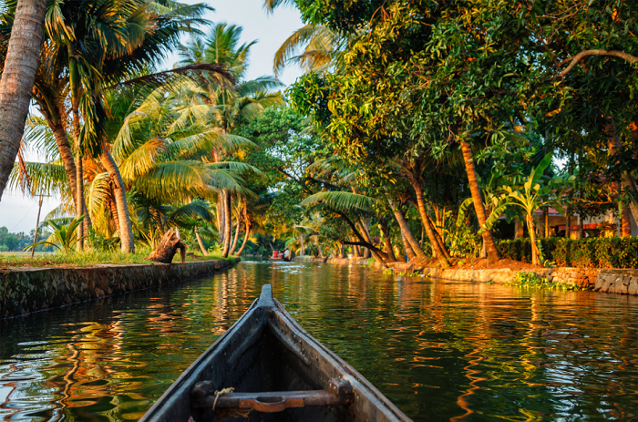 Kerala backwaters tour packages