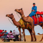 Rajasthan Luxury Tour Packages