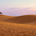 Rajasthan Tour Packages from USA: Discover Royal India