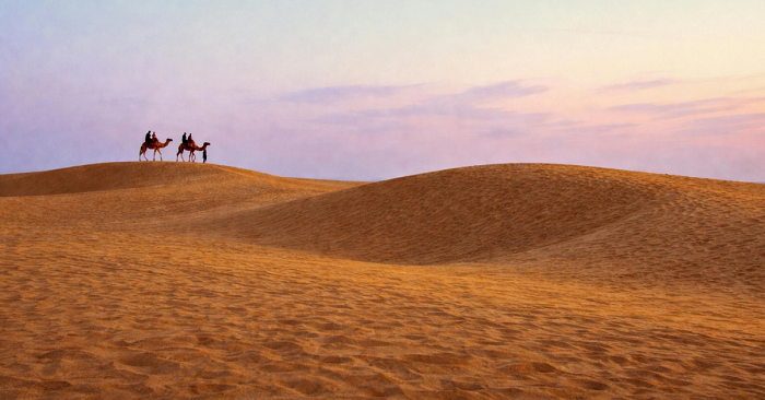 Rajasthan Tour Packages from USA: Discover Royal India